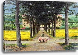 Постер Нил Тревор (совр) Big Pig, Pistoia, Tuscany