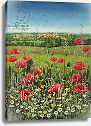 Постер Брумфильд Франсис (совр) Oxford / Poppies, 1983