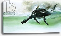 Постер Филлипс Уильям (дет) Plesiosaurus