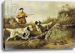 Постер Тайт Артур Amos F. Adams Shooting Over Gus Bondher and Son, Count Bondher, 1887