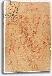 Постер Микеланджело (Michelangelo Buonarroti) Figure Study 2