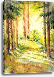 Постер Солнечный летний лес