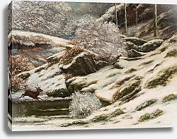 Постер Курбе Гюстав (Gustave Courbet) Paysage d'hiver, 1869