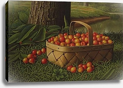 Постер Прентис Леви Cherries in a Basket, c.1890-1900