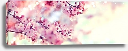 Постер Розовые ветви цветущего дерева