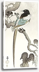 Постер Сорока на ветке дерева (1900 - 1910)
