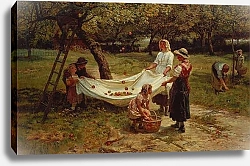 Постер Морган Фредерик The Apple Gatherers, 1880