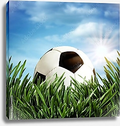 Постер Футбольный мяч на зеленой траве