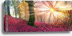 Постер Красный осенний лес с закатным солнцем