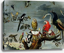 Постер Снайдерс Франц Concert of Birds