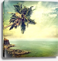 Постер Пальма на берегу