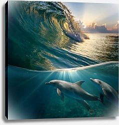 Постер Стайка дельфинов под волной