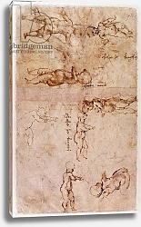 Постер Микеланджело (Michelangelo Buonarroti) W.4v Page of sketches of babies or cherubs