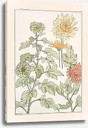 Постер Верней Морис Chrysanthème