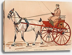 Постер Пенфилд Эдвард Exercising cart