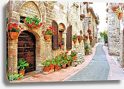 Постер Италия, Тоскана. Цветочная улица