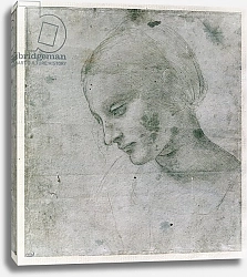 Постер Леонардо да Винчи (Leonardo da Vinci) Head of a Young Woman or Head of the Virgin, c.1490