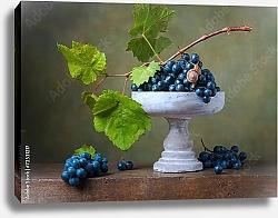 Постер Натюрморт с улиткой на винограде