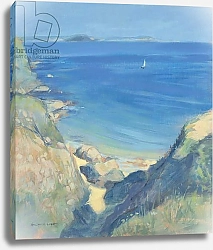 Постер Райт Дженнифер (совр) Starehole Bay, 2000