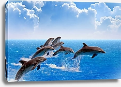 Постер Стайка дельфинов в море