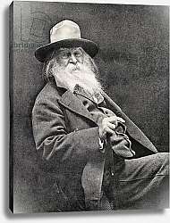 Постер Американский фотограф Walt Whitman