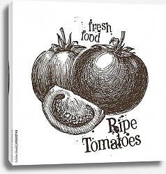 Постер Иллюстрация с томатом