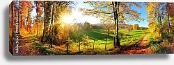 Постер Чарующая природа осенью: солнечная панорама сельской идиллии