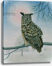 Постер Дитц (совр) Winter-Owl