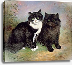 Постер Чевиот Лилиан A Pair of Pussy Cats