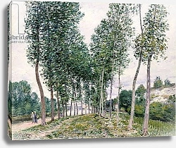 Постер Сислей Альфред (Alfred Sisley) Alley of Poplars along the Loing, 1892