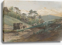 Постер Чордак Людовит Forest Valley with Wood Logs