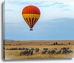 Постер Воздушный шар над стадом зебр в прерии