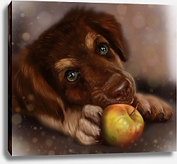 Постер Собака и яблоко