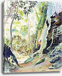 Постер Тиндалл Роберт (совр) Rocks near Nowra, N.S.W. Australia