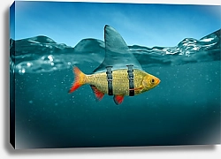 Постер Маленькая рыбка с плавником акулы