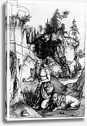 Постер Дюрер Альбрехт St. Jerome in the Wilderness, c.1496