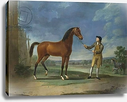 Постер Гилпин Соури (лошади) An Arab stallion held by a groom
