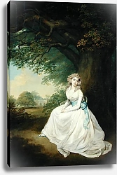 Постер Девис Артур Lady Chambers, c.1789