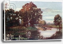 Постер Мэттисон Вильям The River Cherwell, below the Parks
