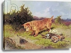 Постер Батт Артур Terrier Watching a Rabbit Trap, 1887
