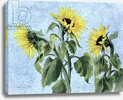 Постер Анжелини Кристиана (совр) Sunflowers, 1996