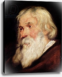 Постер Рубенс Петер (Pieter Paul Rubens) Head of an Old Man