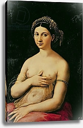 Постер Рафаэль (Raphael Santi) La Fornarina, c.1516