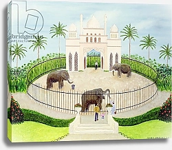 Постер Баринг Марк (совр) The Elephant House, 1984