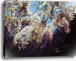 Постер Уайт Хелен White wisteria, 2012,