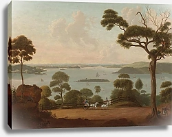 Постер Янсен Якоб Вид на Сиднейскую бухту