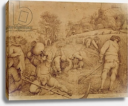 Постер Брейгель Питер Старший Summer, 1568