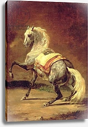 Постер Жерико Теодор Dappled Grey Horse