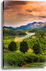 Постер Горный пейзаж и река Керала в Индии