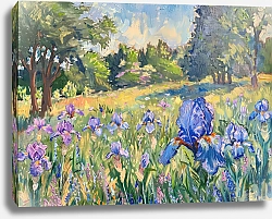 Постер Irises on the forest background